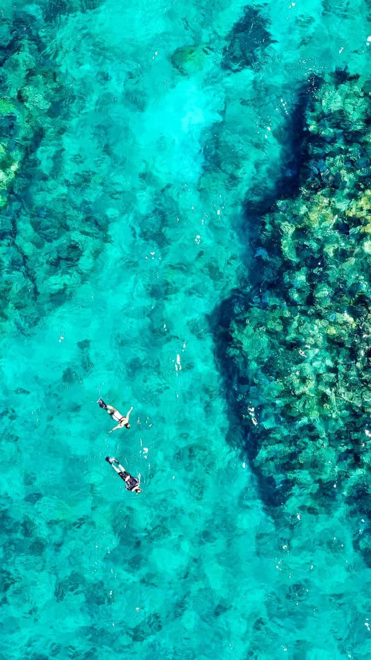 Vue aérienne de deux personnes en snorkeling en surface au-dessus d'un tombant corallien en eau turquoise, Amed, Bali