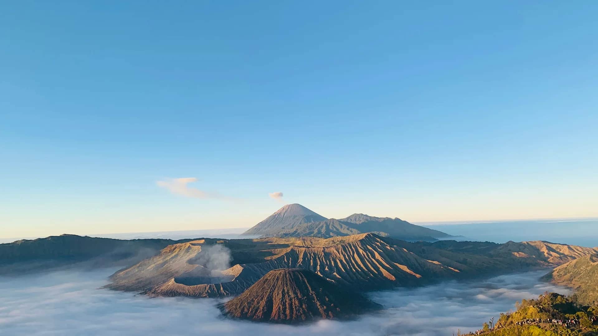 Mont Bromo et Semeru émergeant de la mer de nuages au lever du jour, caldeira du Tengger