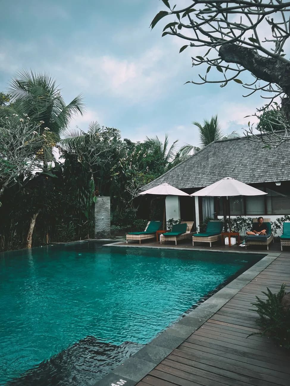 Villa avec piscine entourée de verdure à Canggu, Bali