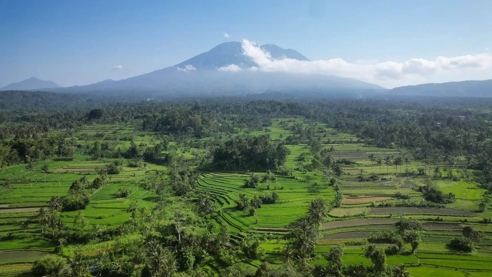 Vue aérienne du mont Agung dominant les rizières en terrasses et les cocoteraies de l'est de Bali