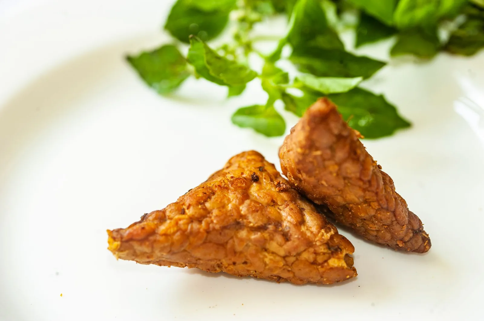 Tempeh frit en triangles, spécialité indonésienne à base de soja fermenté