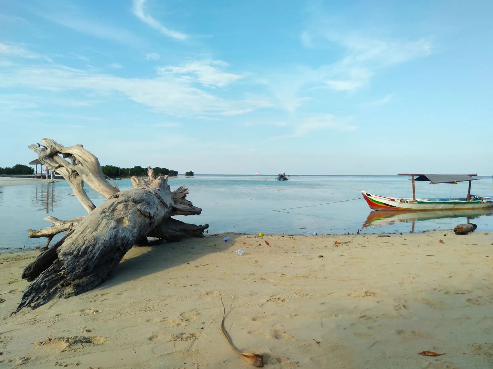Bateau de pêche traditionnel en bois près d'un tronc d'arbre mort sur une plage de sable calme, île de Java