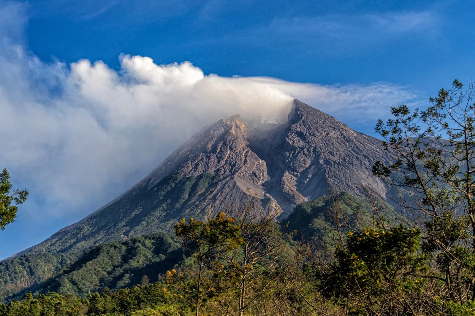 Le volcan Merapi et son panache de fumée au-dessus de la forêt, près de Yogyakarta, Java central