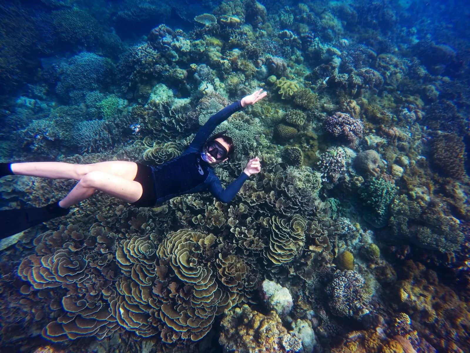 Personne en snorkeling au-dessus d'un récif corallien coloré en eau claire, île de Menjangan, Bali