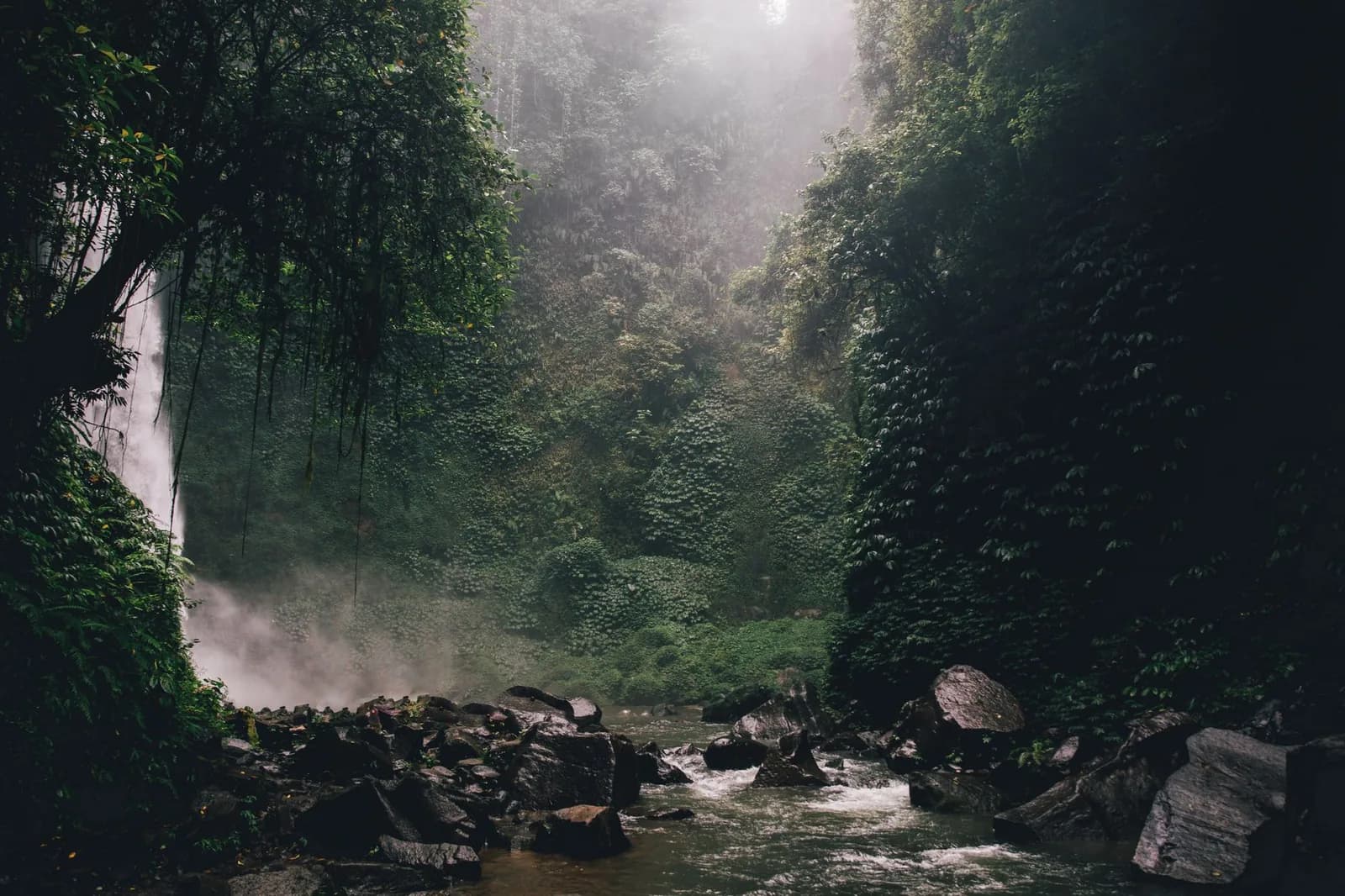 Cascade dans un ravin de jungle brumeux, Bali