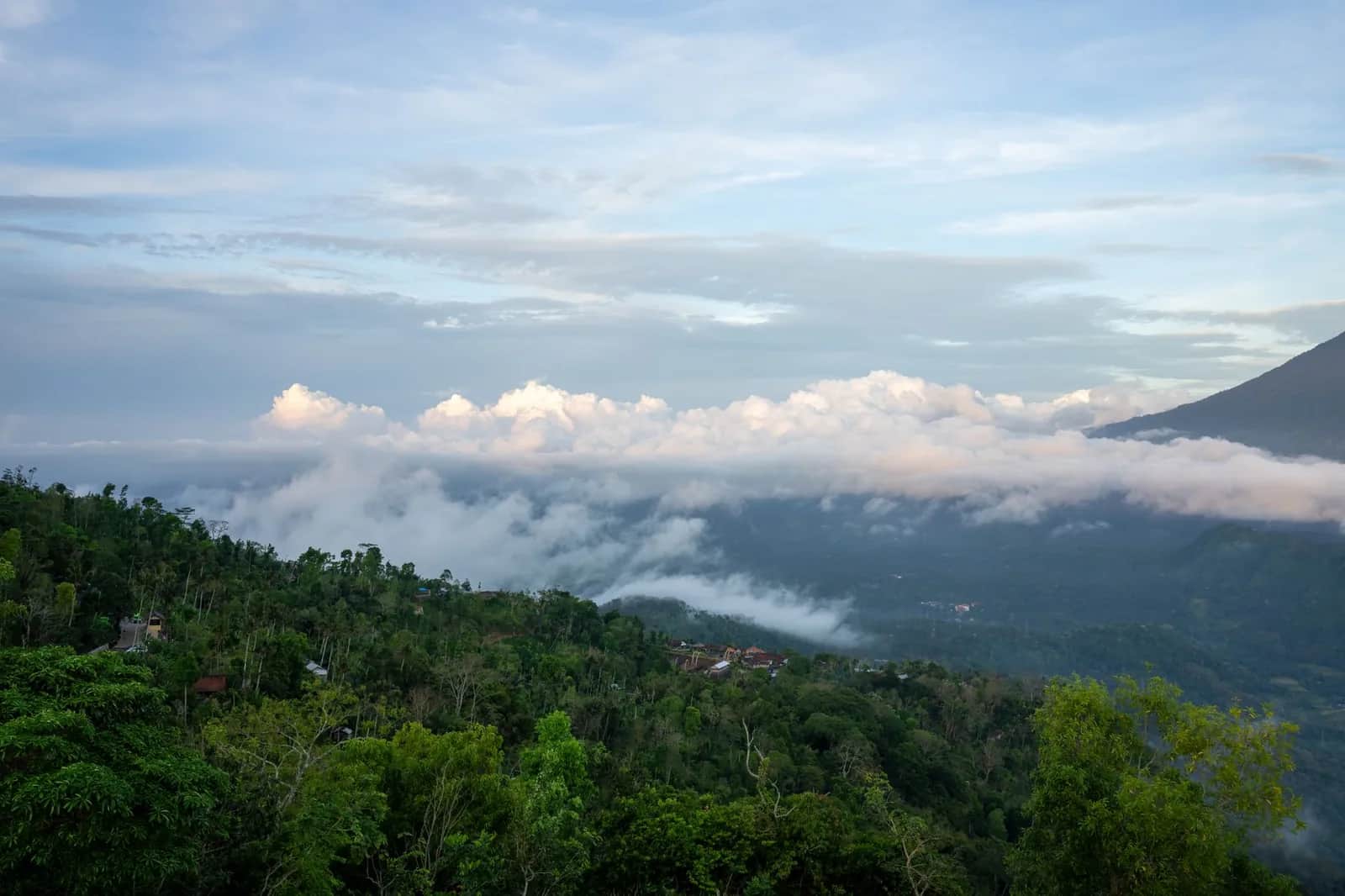 Collines couvertes de jungle et nuages bas dans les montagnes du nord de Bali, au petit matin