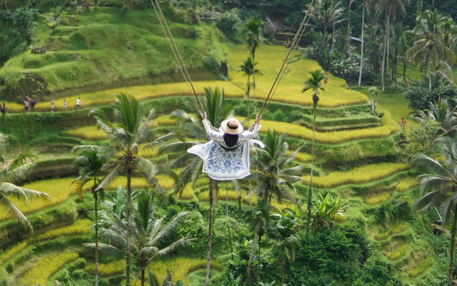 Balançoire au-dessus des rizières en terrasse près d'Ubud à Bali