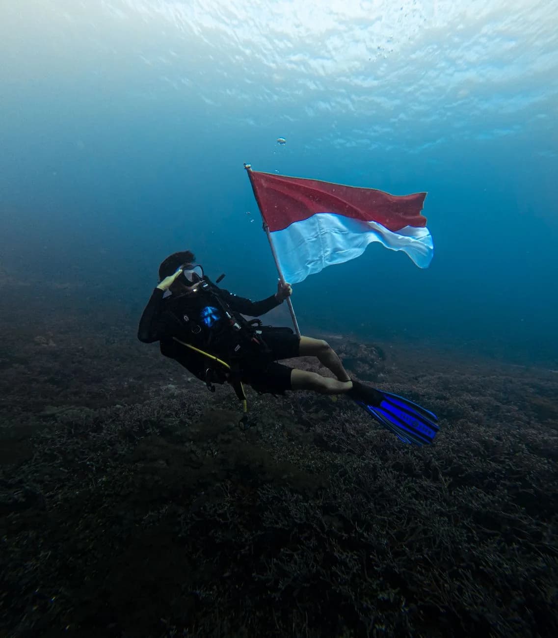 Plongeur brandissant le drapeau indonésien sous l'eau en Papouasie