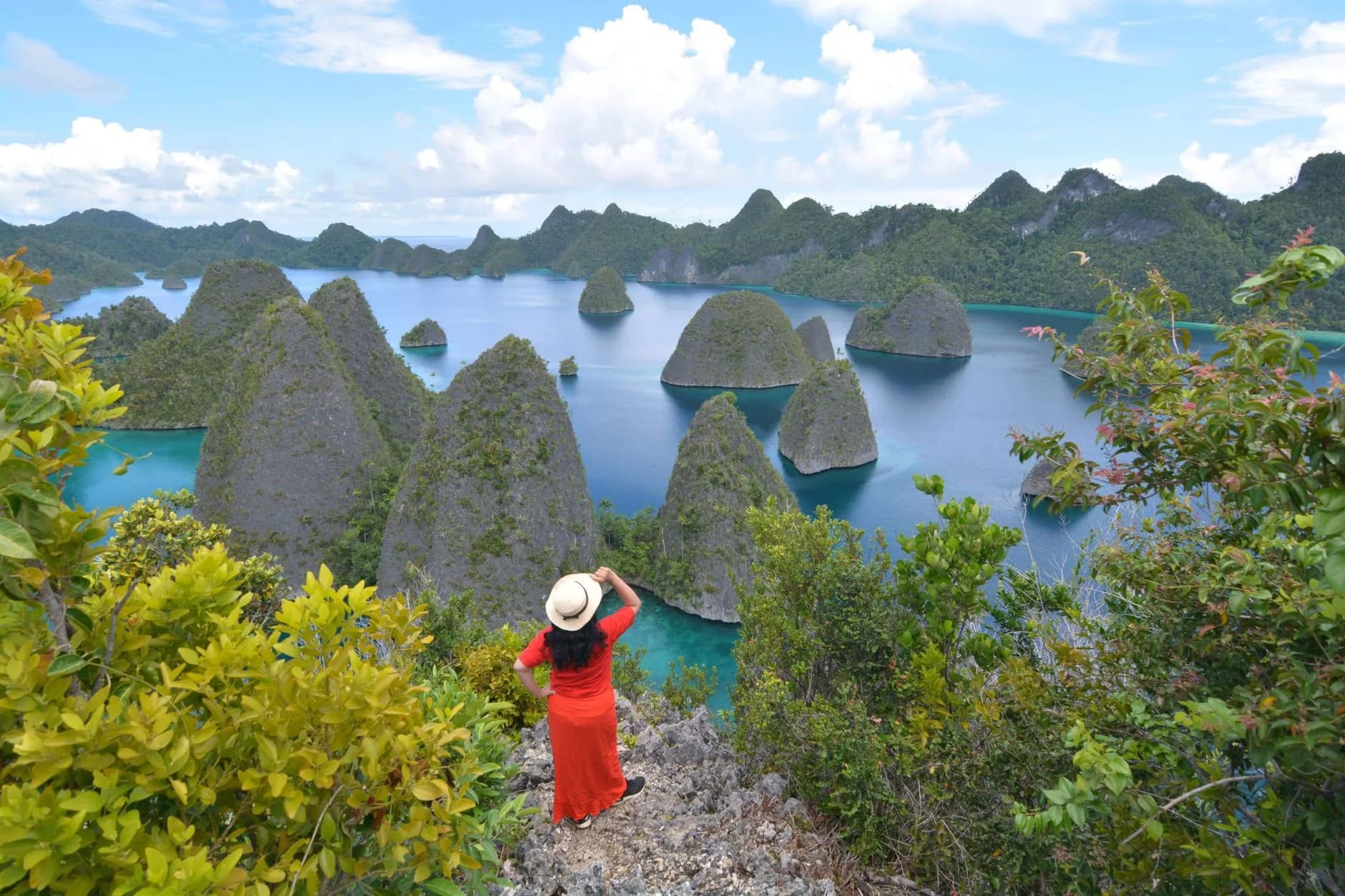 Panorama sur les îlots karstiques depuis le point de vue de Piaynemo, Raja Ampat