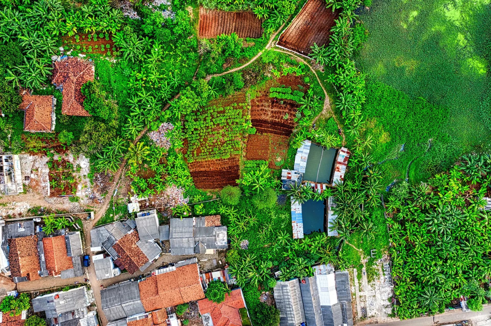 Village en lisière de forêt vu du ciel
