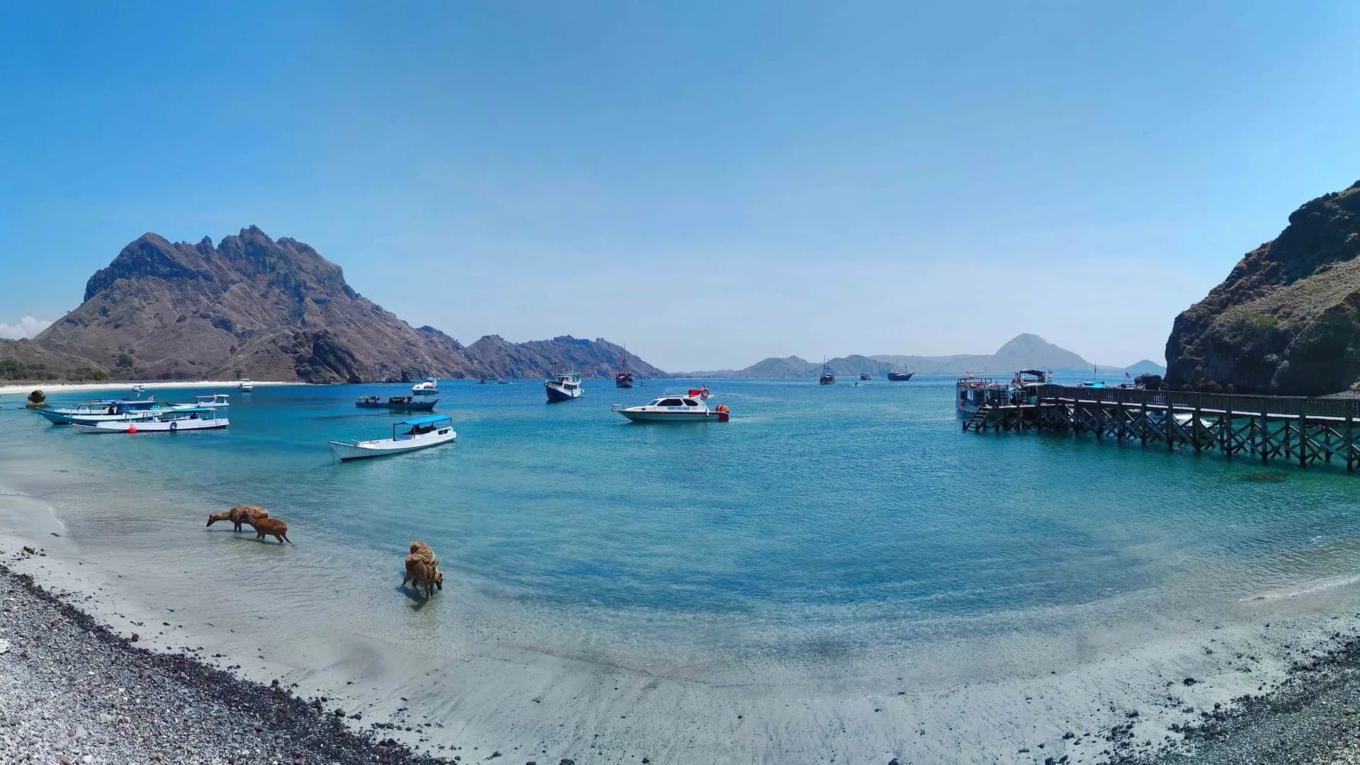 Bateaux au mouillage dans une baie indonésienne