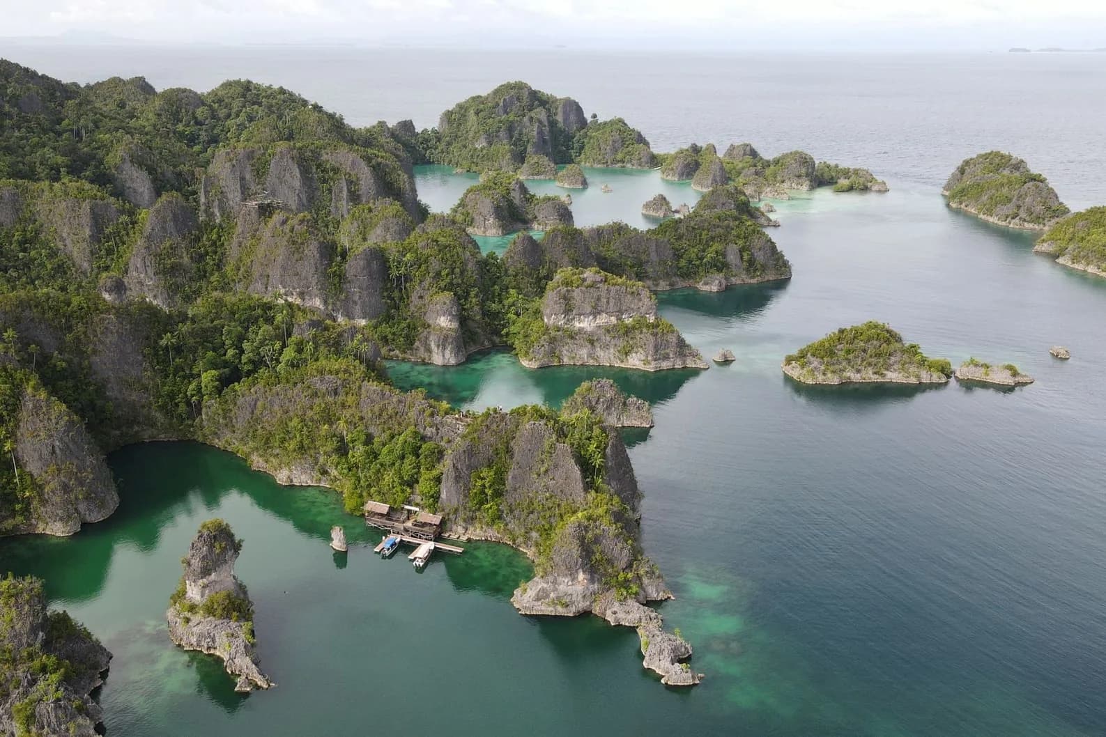 Panorama de Piaynemo, dans les îles Fam de Raja Ampat, avec ses pitons karstiques sur le lagon turquoise