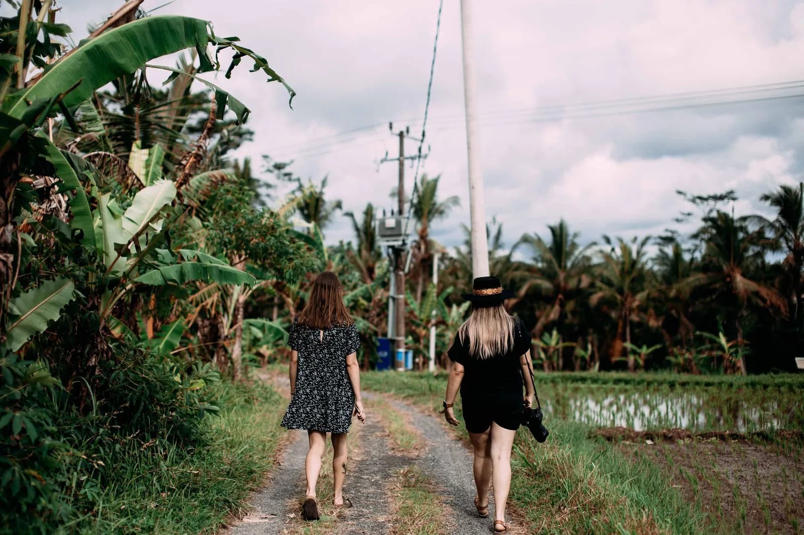 Deux promeneuses sur un sentier de terre entre les rizières et les cocotiers, Bali