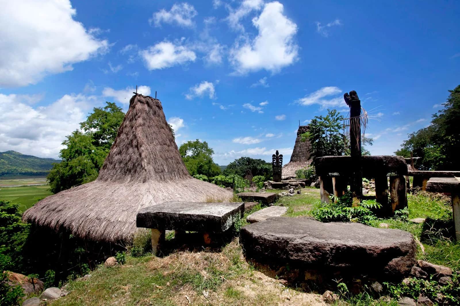 Village traditionnel de Sumba : maisons à toit de chaume pointu et tombes mégalithiques
