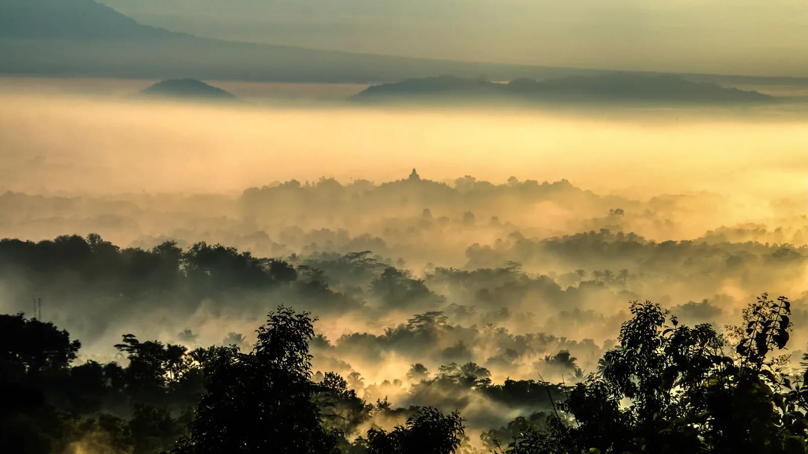 Lever de soleil doré sur la brume de la plaine de Borobudur, avec le temple en silhouette